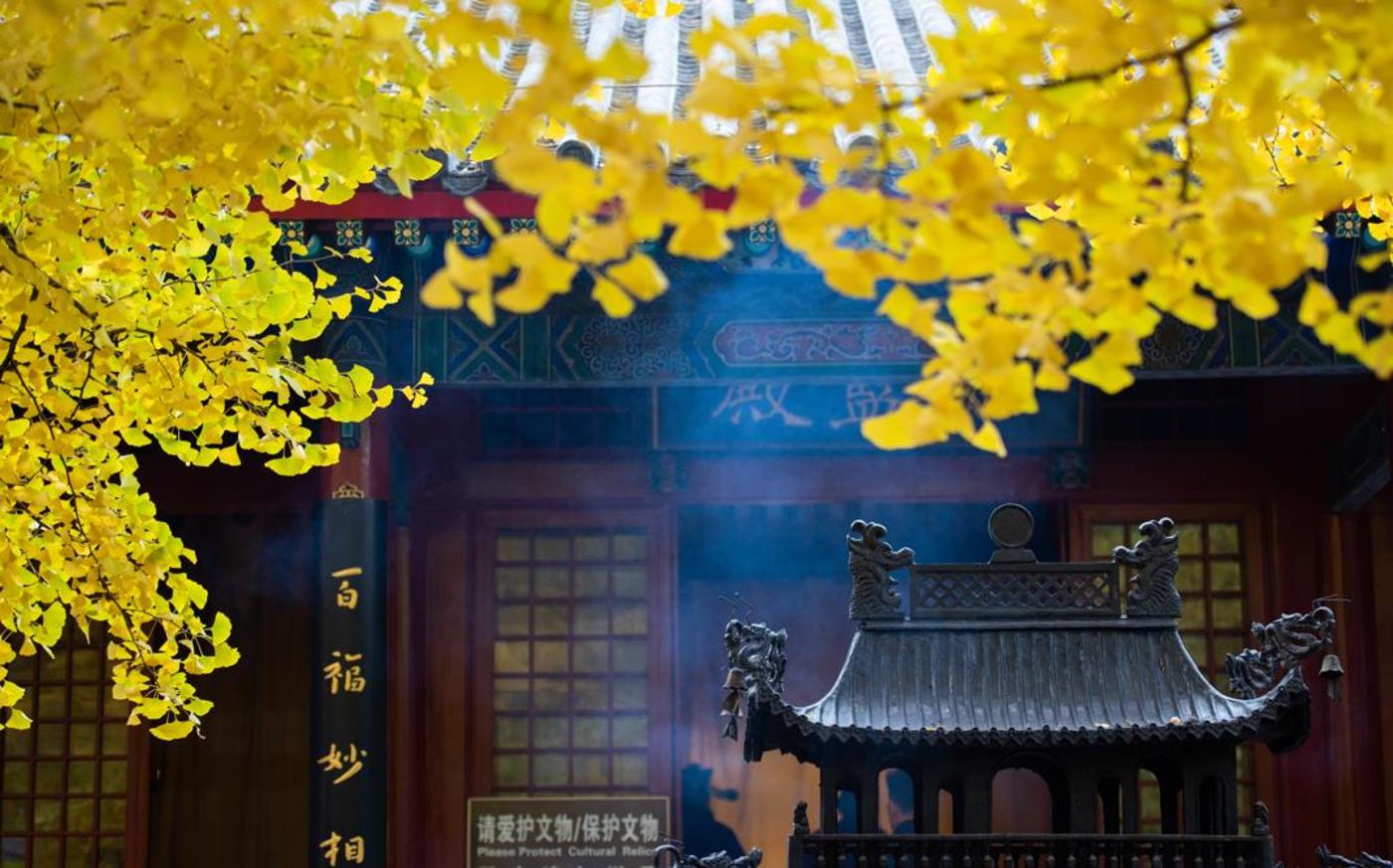 寺院官网设计：数字时代的佛法弘扬平台